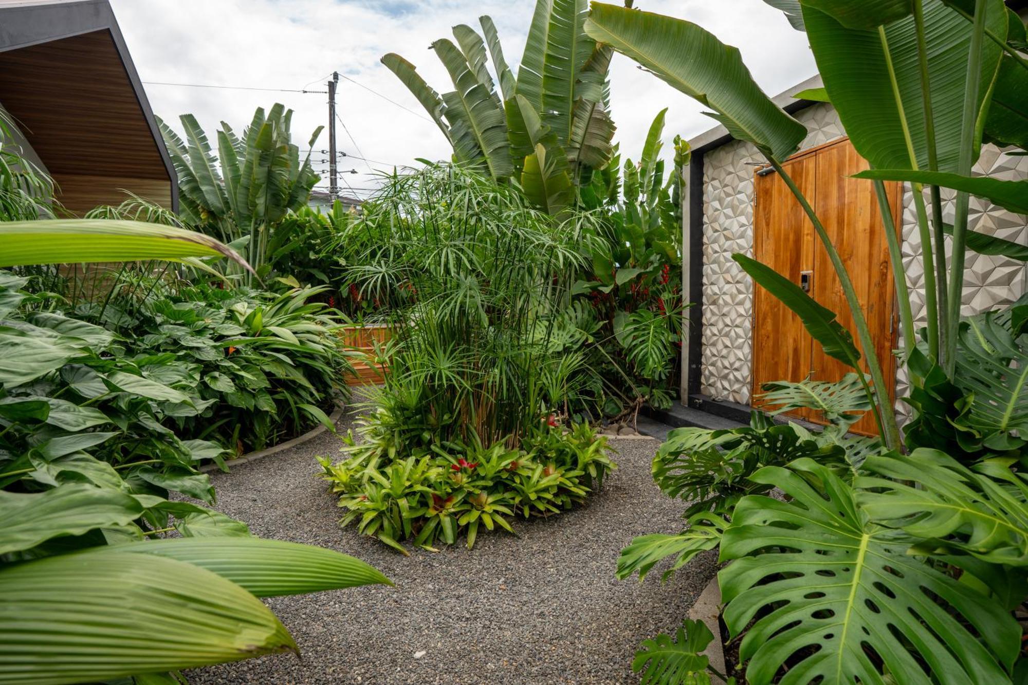 Suwa Villa Arenal La Fortuna Zewnętrze zdjęcie