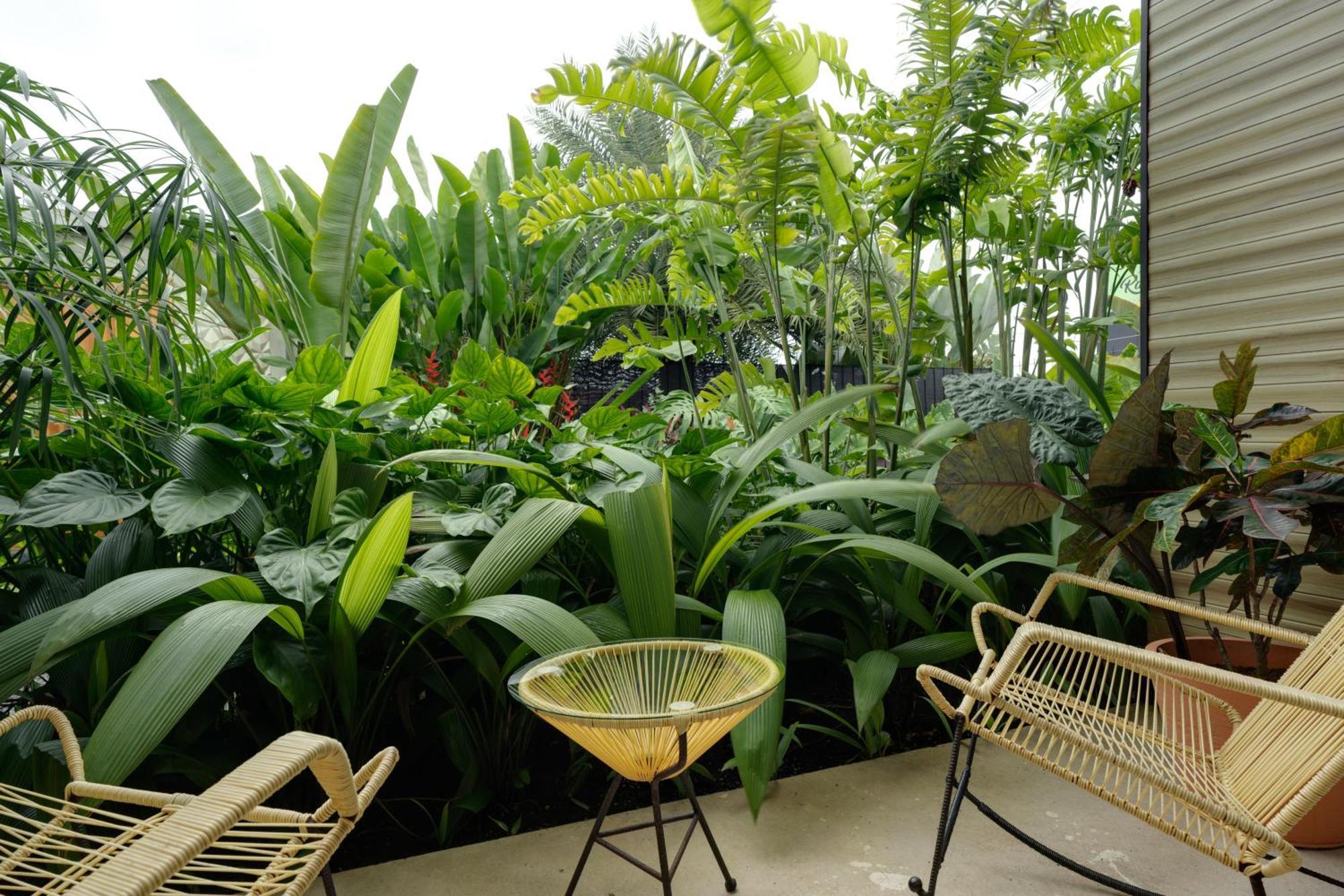 Suwa Villa Arenal La Fortuna Zewnętrze zdjęcie